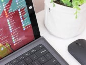 Computer and a mouse sitting next to a verdent fern on a table.